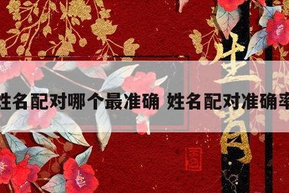 姓名配对哪个最准确 姓名配对准确率