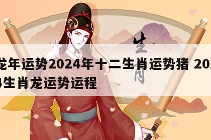 龙年运势2024年十二生肖运势猪 2024生肖龙运势运程