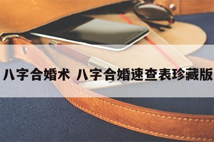 八字合婚术 八字合婚速查表珍藏版