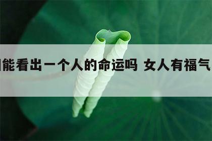 手相能看出一个人的命运吗 女人有福气的手相