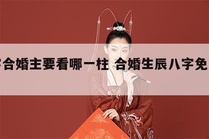 八字合婚主要看哪一柱 合婚生辰八字免费测试
