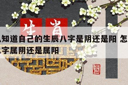 怎么知道自己的生辰八字是阴还是阳 怎么知道八字属阴还是属阳