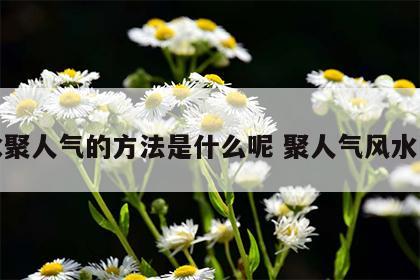 风水聚人气的方法是什么呢 聚人气风水阵法