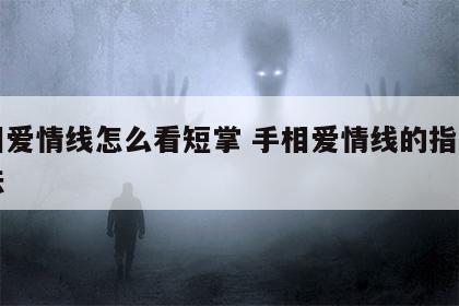 手相爱情线怎么看短掌 手相爱情线的指向与说法
