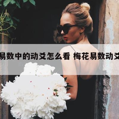 梅花易数中的动爻怎么看 梅花易数动爻卦怎么看