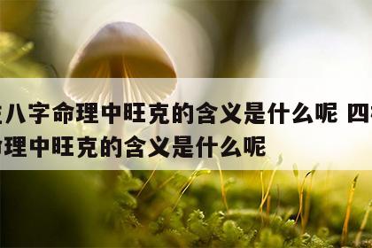 四柱八字命理中旺克的含义是什么呢 四柱八字命理中旺克的含义是什么呢