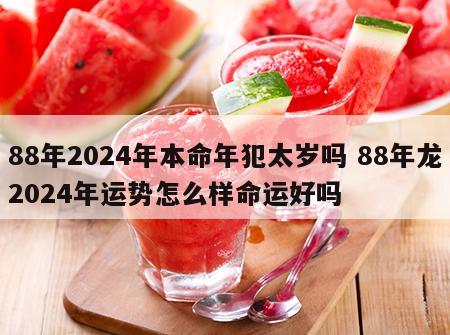 88年2024年本命年犯太岁吗 88年龙2024年运势怎么样命运好吗