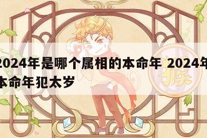 2024年是哪个属相的本命年 2024年本命年犯太岁