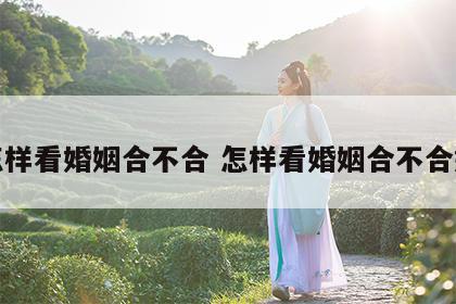 怎样看婚姻合不合 怎样看婚姻合不合婚