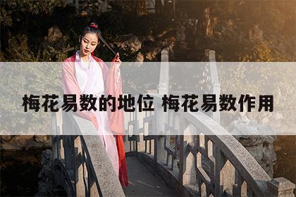 梅花易数的地位 梅花易数作用