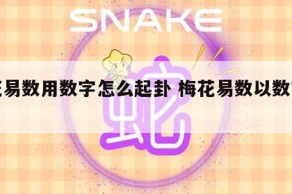 梅花易数用数字怎么起卦 梅花易数以数字起卦