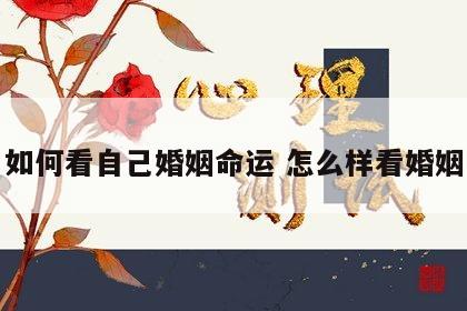 如何看自己婚姻命运 怎么样看婚姻