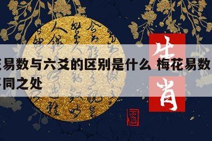 梅花易数与六爻的区别是什么 梅花易数与六爻不同之处