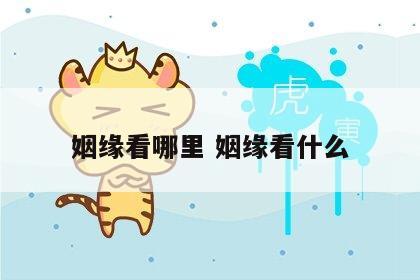 姻缘看哪里 姻缘看什么
