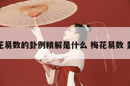 梅花易数的卦例精解是什么 梅花易数 卦例