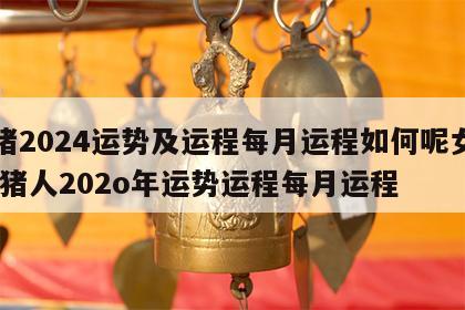 属猪2024运势及运程每月运程如何呢女生 属猪人202o年运势运程每月运程