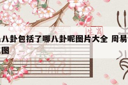 周易八卦包括了哪八卦呢图片大全 周易八卦卦象图