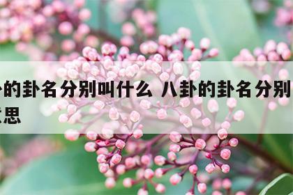 八卦的卦名分别叫什么 八卦的卦名分别叫什么意思