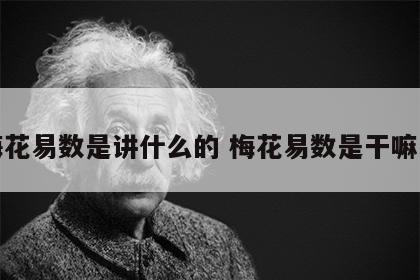梅花易数是讲什么的 梅花易数是干嘛的