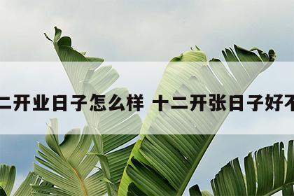 十二开业日子怎么样 十二开张日子好不好