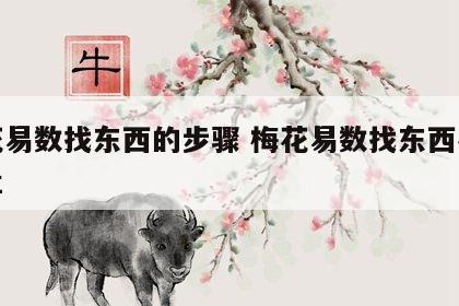 梅花易数找东西的步骤 梅花易数找东西在线排盘