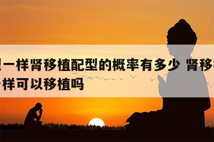 血型一样肾移植配型的概率有多少 肾移植血型一样可以移植吗