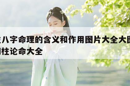 四柱八字命理的含义和作用图片大全大图 八字四柱论命大全