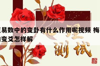 梅花易数中的变卦有什么作用呢视频 梅花易数的变爻怎样解