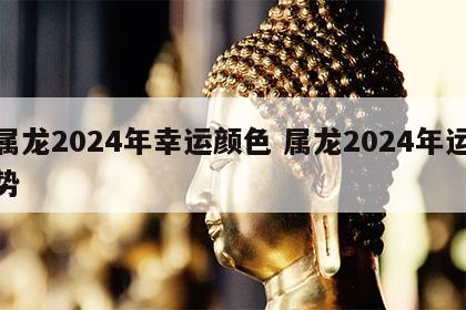 属龙2024年幸运颜色 属龙2024年运势