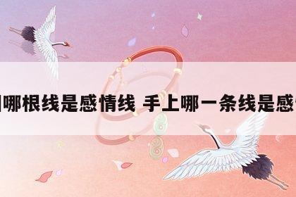 手相哪根线是感情线 手上哪一条线是感情线