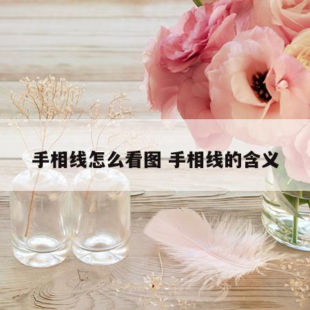 手相线怎么看图 手相线的含义