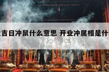 开业吉日冲鼠什么意思 开业冲属相是什么意思