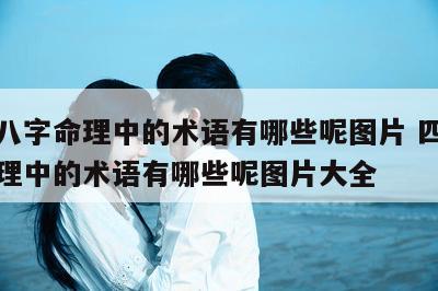 四柱八字命理中的术语有哪些呢图片 四柱八字命理中的术语有哪些呢图片大全