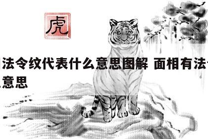 面相法令纹代表什么意思图解 面相有法令纹什么意思