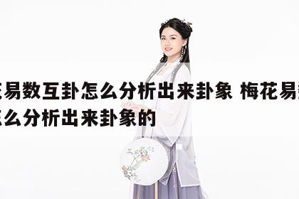 梅花易数互卦怎么分析出来卦象 梅花易数互卦怎么分析出来卦象的