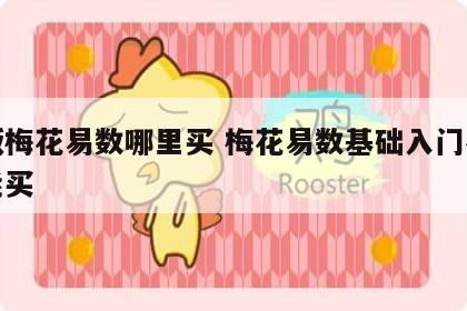 正版梅花易数哪里买 梅花易数基础入门在哪里能买