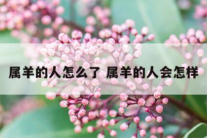 属羊的人怎么了 属羊的人会怎样