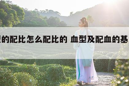 血型的配比怎么配比的 血型及配血的基本知识