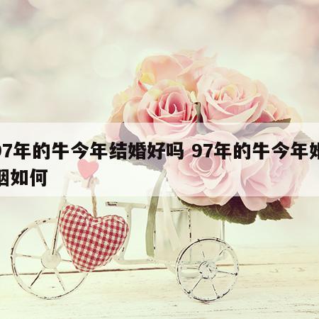97年的牛今年结婚好吗 97年的牛今年婚姻如何