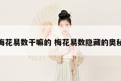 梅花易数干嘛的 梅花易数隐藏的奥秘