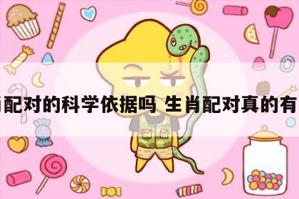 生肖配对的科学依据吗 生肖配对真的有用吗