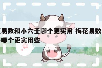 梅花易数和小六壬哪个更实用 梅花易数和小六壬哪个更实用些