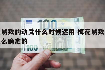 梅花易数的动爻什么时候运用 梅花易数动爻是怎么确定的