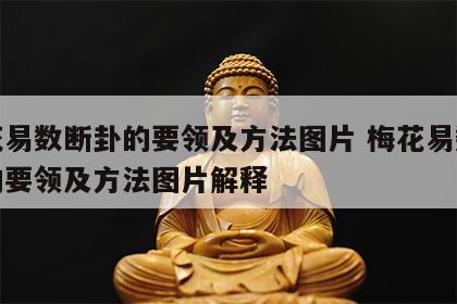 梅花易数断卦的要领及方法图片 梅花易数断卦的要领及方法图片解释