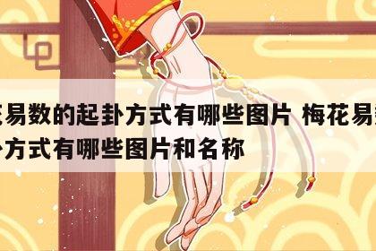 梅花易数的起卦方式有哪些图片 梅花易数的起卦方式有哪些图片和名称
