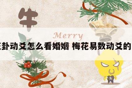 梅花卦动爻怎么看婚姻 梅花易数动爻的断法