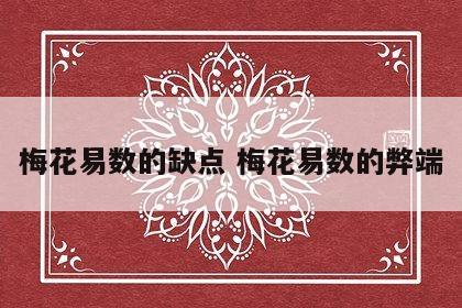 梅花易数的缺点 梅花易数的弊端