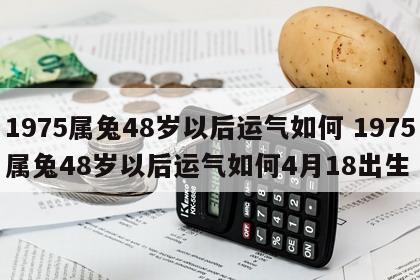 1975属兔48岁以后运气如何 1975属兔48岁以后运气如何4月18出生