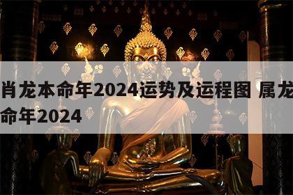 生肖龙本命年2024运势及运程图 属龙的本命年2024