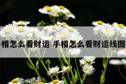 手相怎么看财运 手相怎么看财运线图解
